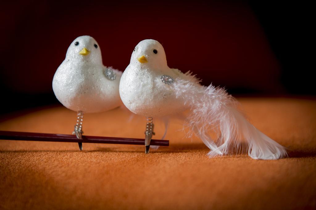 Two White Pigeons Villa Ieper Rom bilde